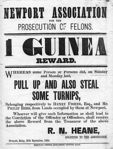 Poster re reward for information on a crime of stolen turnips issued by Newport ...