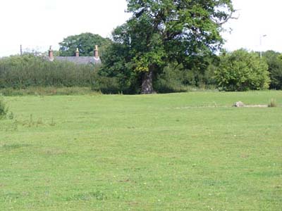 View of part of 'Black Butts' field, looking towards Station Road and the south ...