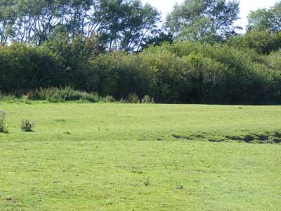 View of part of 'Black Butts' field, looking to the north west and showing edge ...