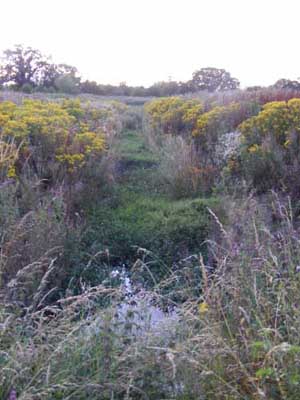 Anglo-Saxon boundary on the eastern side of Newport just beyond the Marsh Enclos...