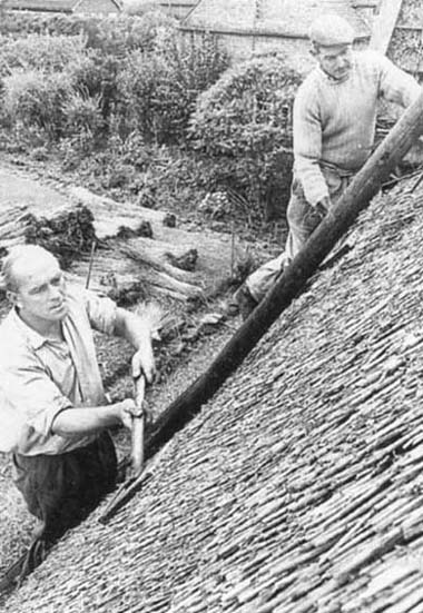 Thatching a cottage in Pipers Lane, Edgmond, September 1967.